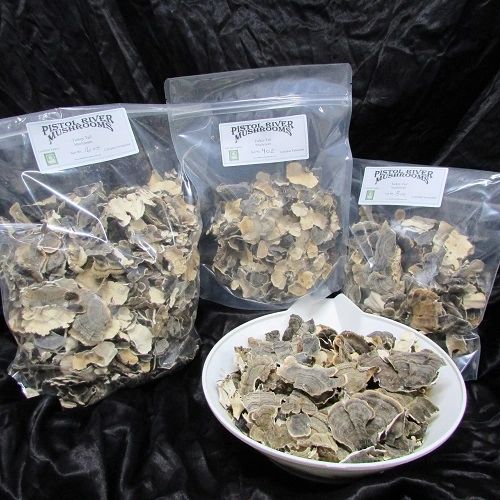 Turkey Tail Mushroom Certified Organic